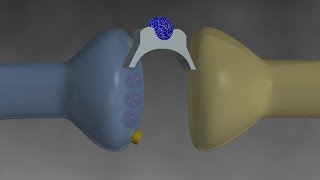 Parkinsons Disease amp DaTscans [upl. by Eca107]