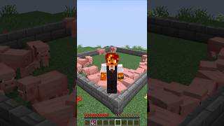 Ache o impostor shots minecraft [upl. by Callista]