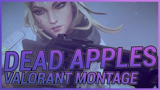 DEAD APPLES  Valorant Montage [upl. by Atsed]