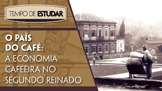 O país do café a economia cafeeira no Segundo Reinado l Tempo de Estudar  História  8º ano [upl. by Seedman]