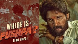 Pushpa 2  Where Is Pushpa  Pushpa 2 Release Date [upl. by Teresina]