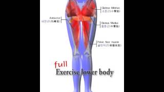 Ballo Pelvic Exercise Sphincter Exercise HipupAdductor Exercise [upl. by Uehttam882]