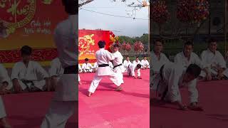 Những đòn đánh tinh hoa karate 🥋 defence vothuat martialarts karate kungfu loitrankarate [upl. by Hilde]