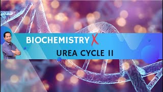 Video 10  Urea cycle II [upl. by Petr361]