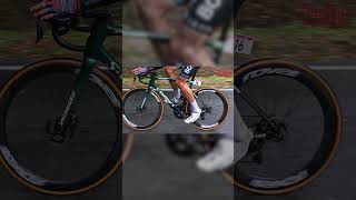 Bora Hansgrohe are running some beautifully specced Specialized SL8s roadbike roadcycling [upl. by Prentiss]