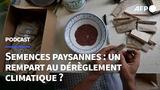 15 Semences paysannes  un rempart au dérèglement climatique [upl. by Rimisac664]