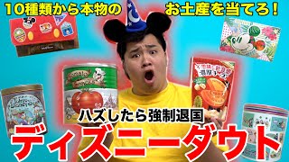 【超難問】10種類のディズニーランドのお土産から本物を見破らないと強制退国ですwww [upl. by Aerb]