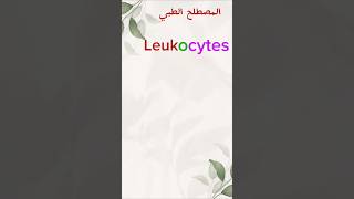 المصطلح الطبي leukocytes medicalterminology المصطلحات [upl. by Four]