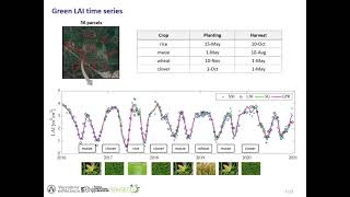 Crop phenology monitoring from harmonized Landsat 8 and Sentinel2 green LAI time series [upl. by Mllly]