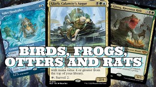 MY FAVORITE BLOOMBURROW COMMANDER  Glarb Calamity’s augur Deck Tech [upl. by Asyar753]