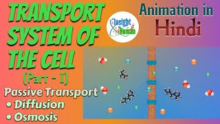 Transport system of The Cell PartI Passive Transport  Animation In Hindi  Simple Explanation [upl. by Margaret]