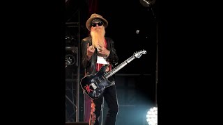 Treat Her Right a Billy Gibbons style cover [upl. by Drobman]