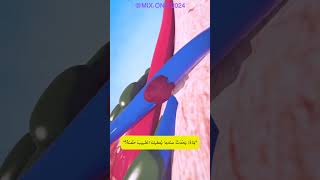 Blown Veins 😨 Explained 💉 quotمَاذَا يَحْدُثُ عندما يُعطيكَ الطَّبيبُ حُقنةً؟quot 💉 [upl. by Xylon]