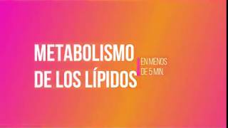 METABOLISMO DE LÍPIDOS En menos de 5 minutos [upl. by Xanthe]