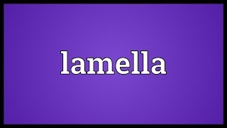 Lamella Meaning [upl. by Gervais]