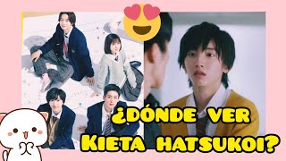 SUB ESP  ENG SUB ¿DÓNDE VER LA SERIE quotKIETA HATSUKOI Un cuadrado amoroso 😅💗 [upl. by Landis]