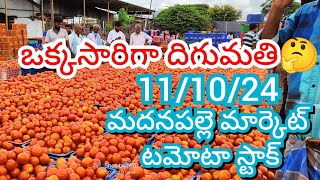 111024 Madanapalle Tomato Market price Today  Today Tomato Market Rate in Madanapalle today [upl. by Ummersen650]