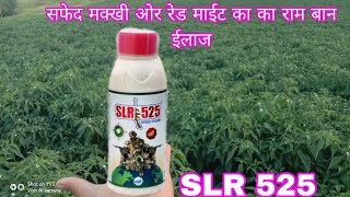 SLE 525 INSECTICIDE सफेद मक्खी रेड माईट का राम बान ईलाज [upl. by Eintroc]