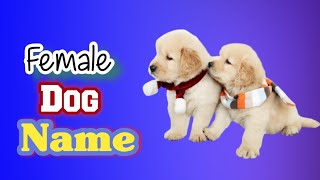 Top Unique Female Dog Name  80 name for Dog Girls [upl. by Malinda944]