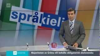 Pakkoruotsi  YLE Nyheter 2482013 [upl. by Olwena]