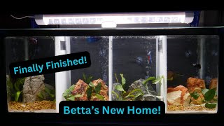 Simple DIY Aquarium Dividers for Betta Betta Project Episode 3 [upl. by Zenda212]