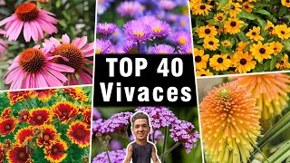 Mes Plantes VIVACES Préférées  😍 TOP 40 [upl. by Barbur305]