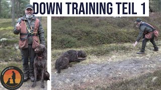 Einarbeiten vom Platz in der Bewegung als Abbruchsignal  Hundeschule UB [upl. by Gershom]