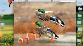 How To Do Basic quotPhotoshopquot On A Mac [upl. by Llerrot]