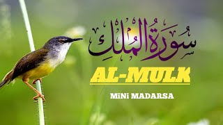 surah almulk complete quran tilawat episode no17 mp3 [upl. by Atteoj]