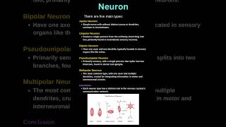 Neurons  on the basis of structure  Apolar  Unipolar  Bipolar  Pseudounipolar  Multipolar [upl. by Cutcheon]