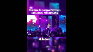 Cherry blossom Festival  Shillong Meghalaya  Akon [upl. by Ginnifer]