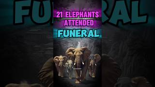 21 Elephants Attend a Funeral 😮 animals elephant emotional KnowledgePedia2023 [upl. by Arevle558]