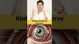 Abducens Nerve in Hindi And Function biology humanbody quiz anatomy [upl. by Hocker]