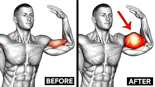 Full Biceps Workout  Short Head  Long Head  Maniac Muscle [upl. by Enilec]