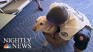 Meet The Woman Reuniting Vets With Their Retired Service Dogs  NBC Nightly News [upl. by Atinahs]