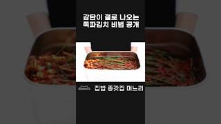 감탄 절로 나오는 쪽파 김치 비법 공개 [upl. by Wivestad]