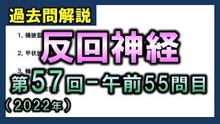 【過去問解説：第57回国家試験午前55問目】反回神経【理学療法士・作業療法士】 [upl. by Dorcas290]