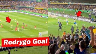 Brazil Fans Reactions to Rodrygo Winning Goal vs Ecuador [upl. by Yggep]