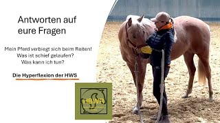 Die Westernreitstunde Hyperflexion der Halswirbelsäule Ursache und Maßnahmen [upl. by Sula]