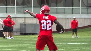 Kansas City Chiefs WR Dwayne Bowes BehindtheBack Catch Chiefs mandatory minicamp June 17 2014 [upl. by Agemo]