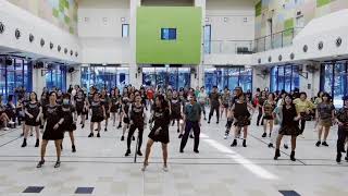 Stayin Alive EZ Line Dance Phrased Beginner 31824 Line Dance Jam [upl. by Asillam]