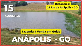 15 ALQ EM ANÁPOLIS  FAZENDA À VENDA EM GOIÁS 🌱DUPLA APTIDÃO🐄 62999722000 agro fazenda [upl. by Bullivant841]