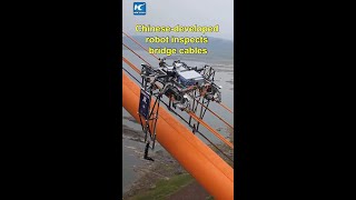 Chinesedeveloped robot inspects bridge cables [upl. by Kurtzig326]