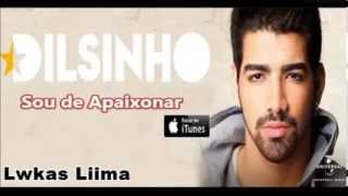 Dilsinho  Sou de Apaixonar  CD 2014 [upl. by Volny]