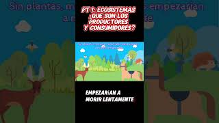 PARTE 1  Ecosistemas ¿Qué son los Productores y Consumidores 🌱🦁 ecosistema [upl. by Pearce324]