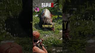 Did you know İn Rdr2 🤠🔥 Rarest legendary animals rdr2 reddeadredemtion2 gaming [upl. by Ajar]