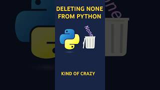 Deallocating None from Pythons runtime python pythonprogramming coding bug programming [upl. by Kaenel]