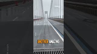 The Verrazano Bridge Expansion Joints [upl. by Atsirhc285]