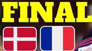 France vs Denmark Handball Final Live Match [upl. by Aicram]