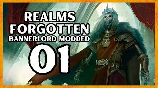 A WORLD OF MAGIC REALMS FORGOTTEN Bannerlord Mod Gameplay Part 1 [upl. by Kennie]